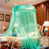 Dôme faux plafond filets moustiquaire  Ciel de lit léger pour l’anti-moustiques cour princesse-H Full-size - B07CCGMFLT